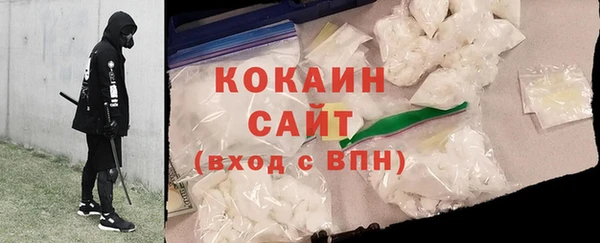 трава Коряжма