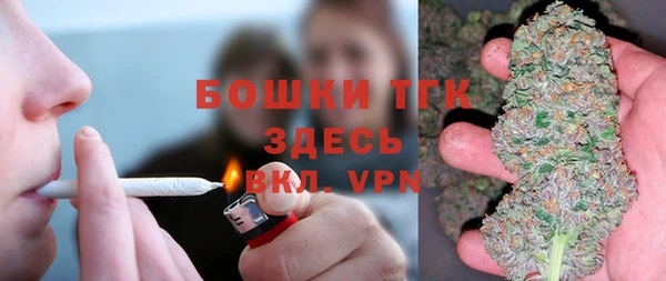 трава Коряжма
