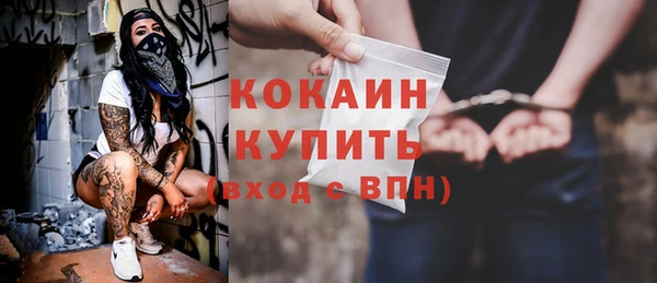 трава Коряжма