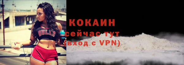 трава Коряжма