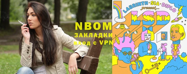трава Коряжма