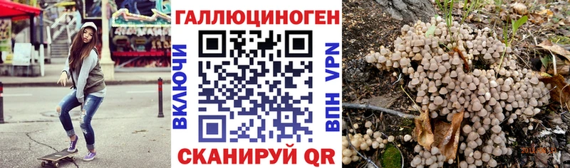 Галлюциногенные грибы Psilocybe  наркошоп  Нерехта 
